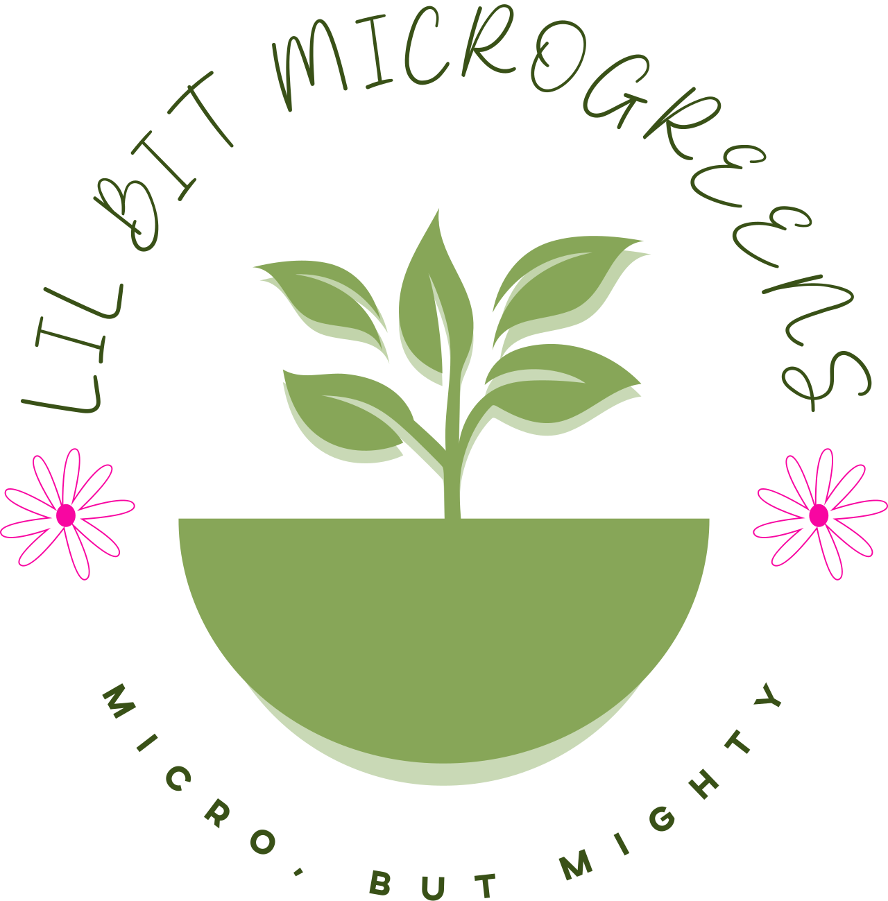 Lil Bit Microgreens